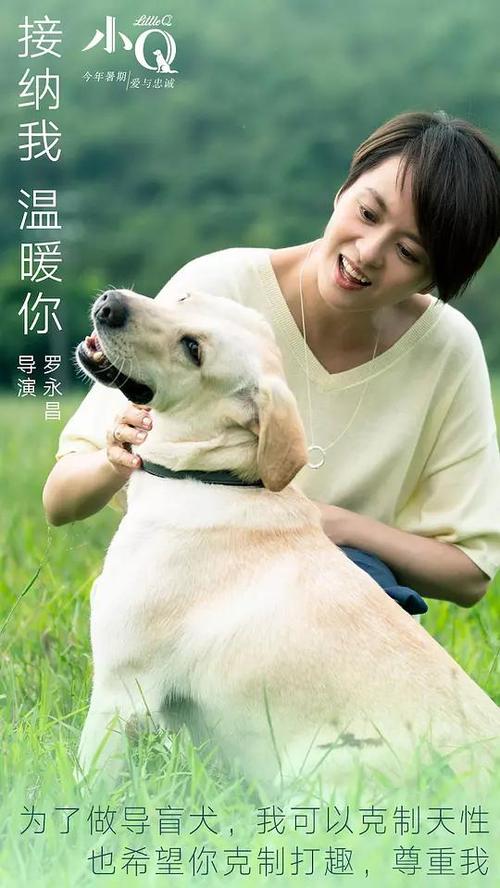 日本爱知新城大谷大学学生卡